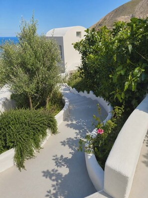 Un edificio dalle pareti bianche con un vialetto curvo, vegetazione e vista sul mare.