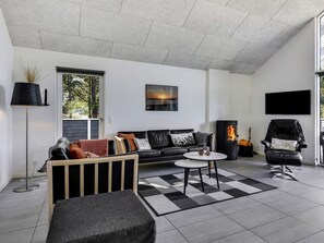 Télévision, cheminée, lecteur de DVD