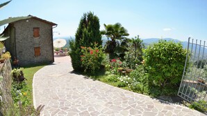 Property grounds - Cottage in Lucca with Pool & Wine Nearby (Petrognano)