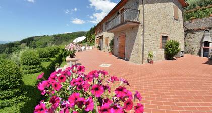 Cottage in Lucca with Pool & Wine Nearby