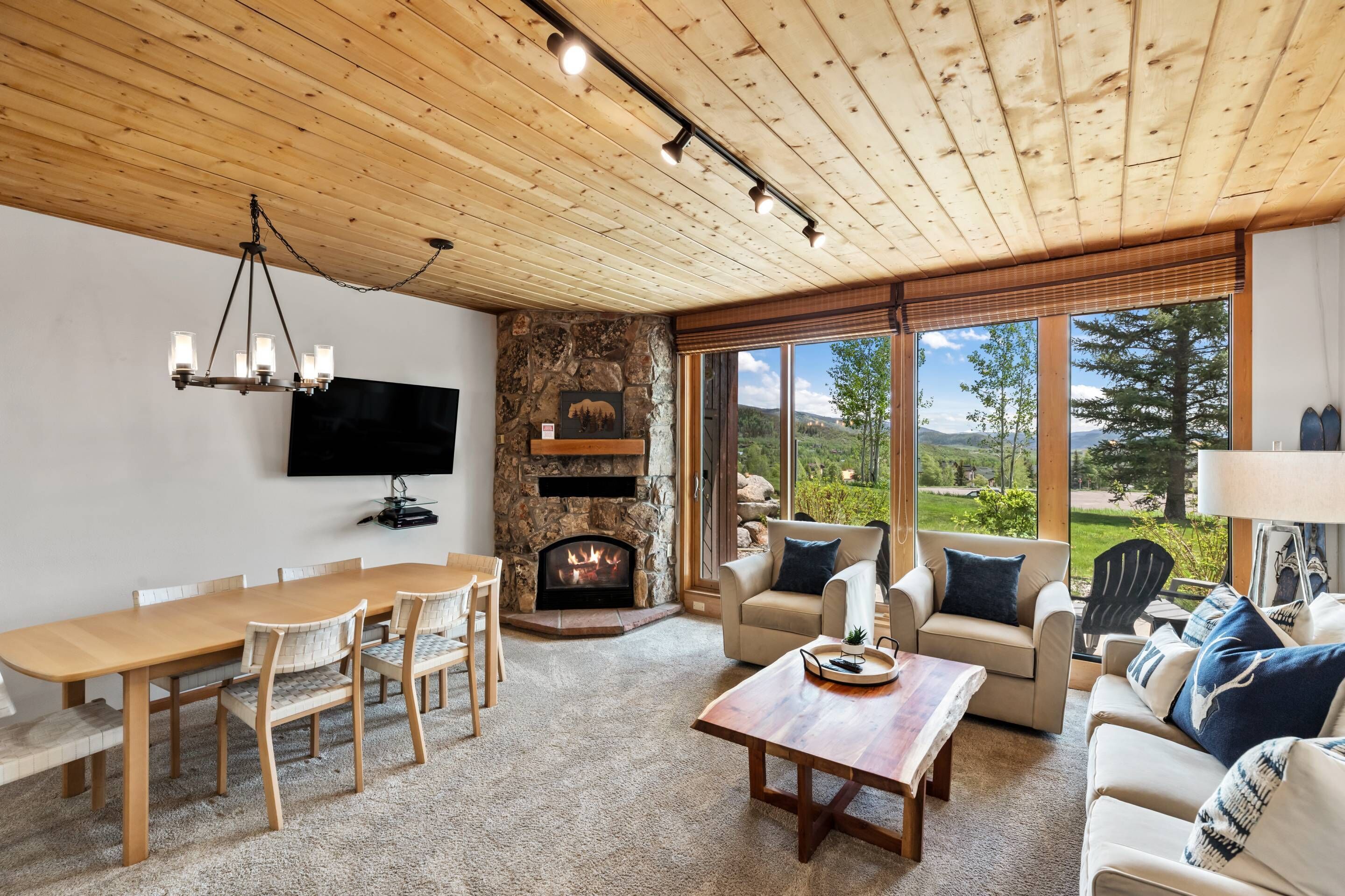 智能电视、壁炉、书