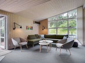 TV, fireplace, DVD player