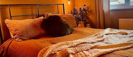 1 habitación, tabla de planchar con plancha y cuna de viaje