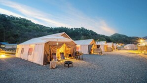 Un terrain de camping avec plusieurs tentes, un foyer et un banc en bois.