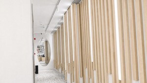 Interior - Bird Nest Suite (Istanbul)