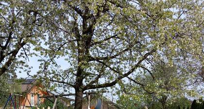 Ferienwohnung Untersberg