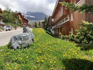 Property grounds - Coeur Station, vue Splendide, Skis aux Pieds (Huez)