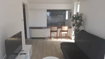Televisor