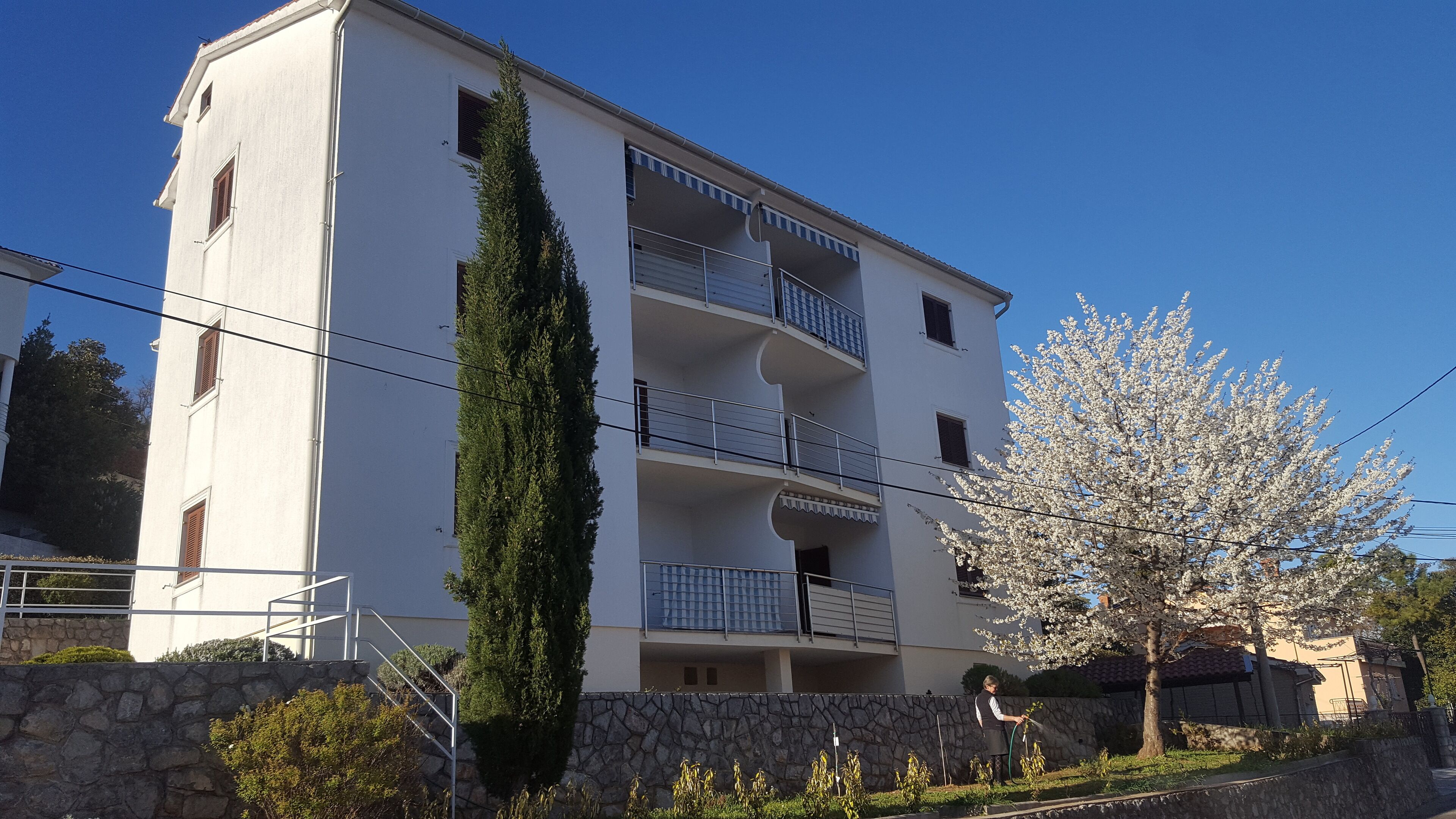 A multi-story residential building with balconies, a stone wall, and a tree with white blossoms.