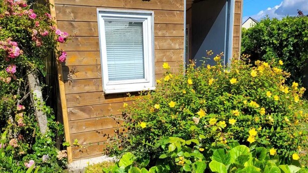 A small wooden cabin with a window and a door, surrounded by a garden with various plants and flowers. - Petite Maison Proche Mer, Jardin Clos, Près du GR 34 et du Bourg , Chien Accepté (Plouguerneau)