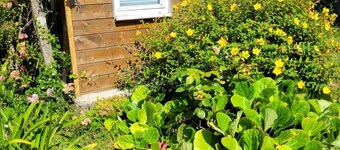 Petite Maison Proche Mer, Jardin Clos, Près du GR 34 et du Bourg , Chien Accepté