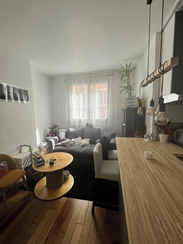 Living area - Appartement Paisible et Central Proche des Transports et du Parc Montsouris (Paris)