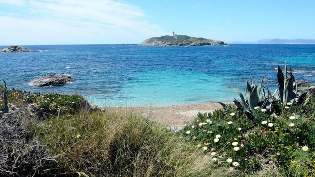 A coastal landscape with a lighthouse on a small island, clear blue waters, and a sandy beach with vegetation.