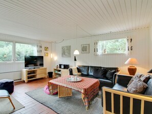 Fernseher, Kamin, DVD-Player