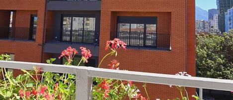 A multi-story brick building with balconies, a metal railing, and potted plants.