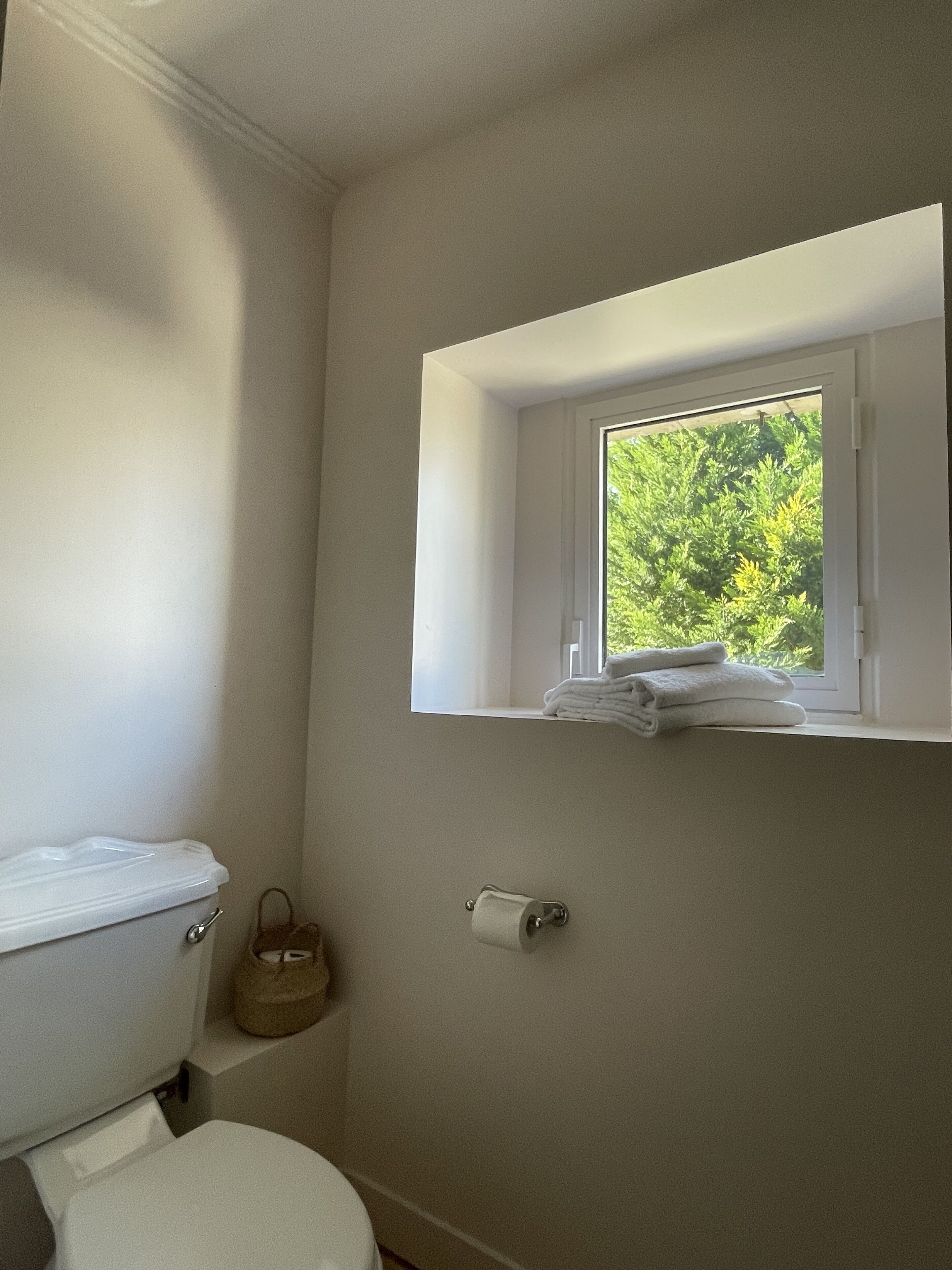 A bathroom with a toilet, a window with a view of greenery, and a towel rack.