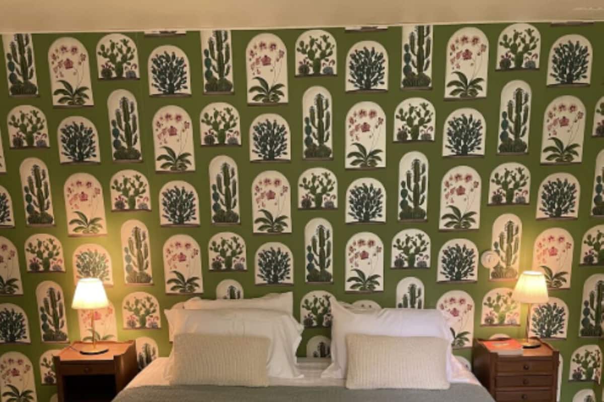 Chambre classique Cactus | 1 slaapkamer, luxe beddengoed, donzen dekbedden, individueel gedecoreerd