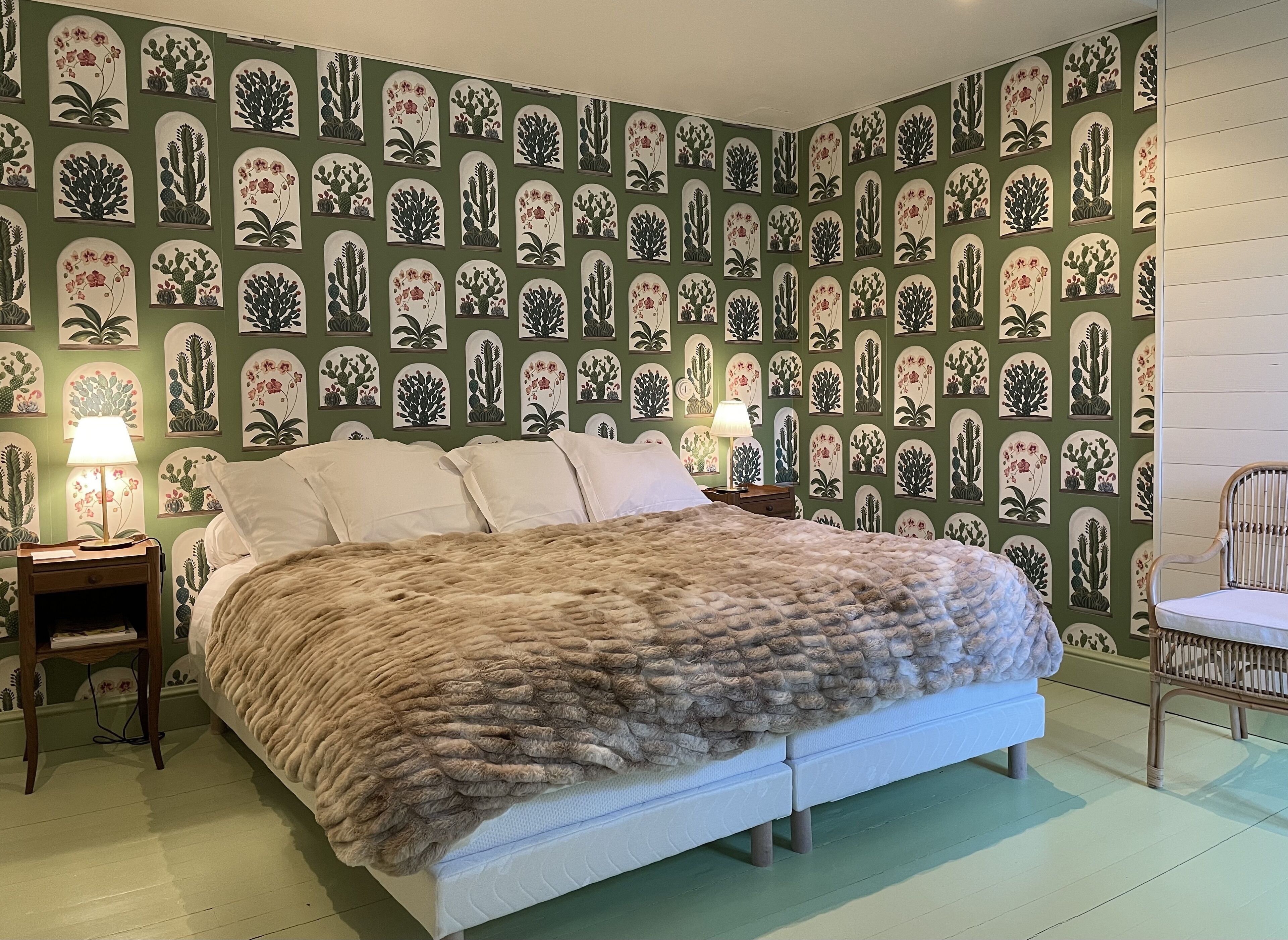 Chambre classique Cactus