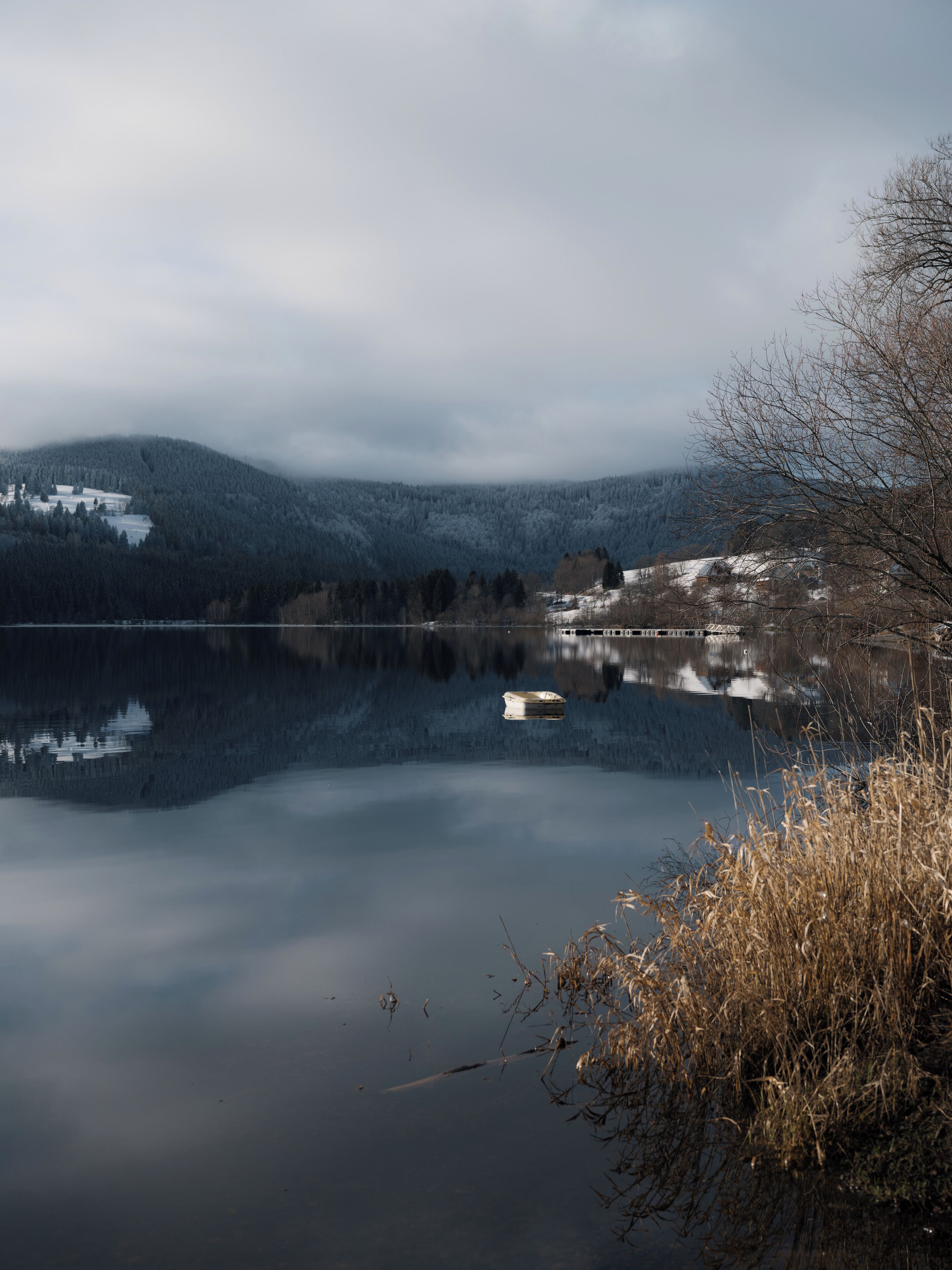 Un lac paisible où se reflètent les arbres et, au loin, une chaîne de montagnes.