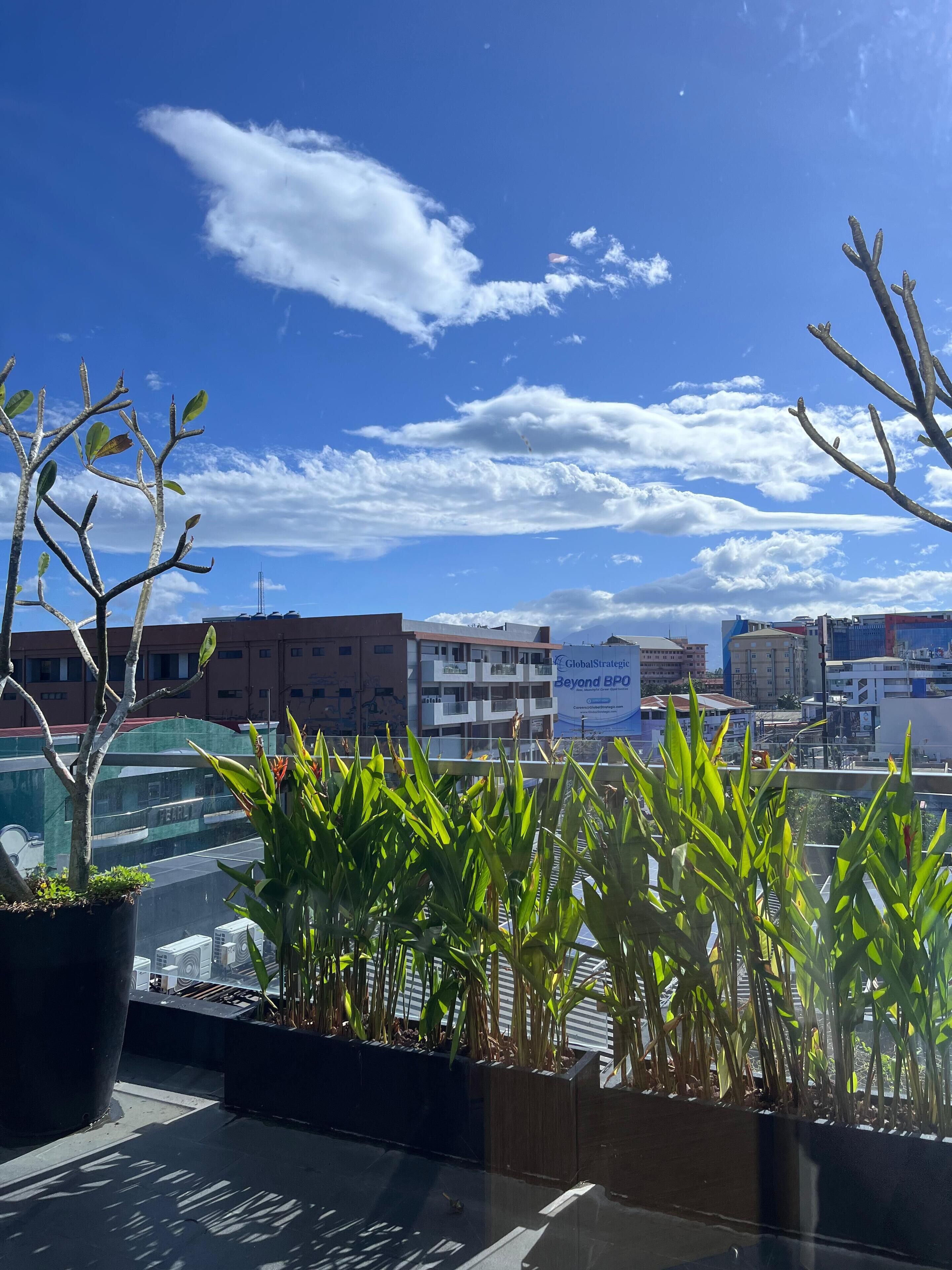 City view