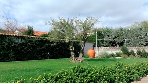 Eksteriør