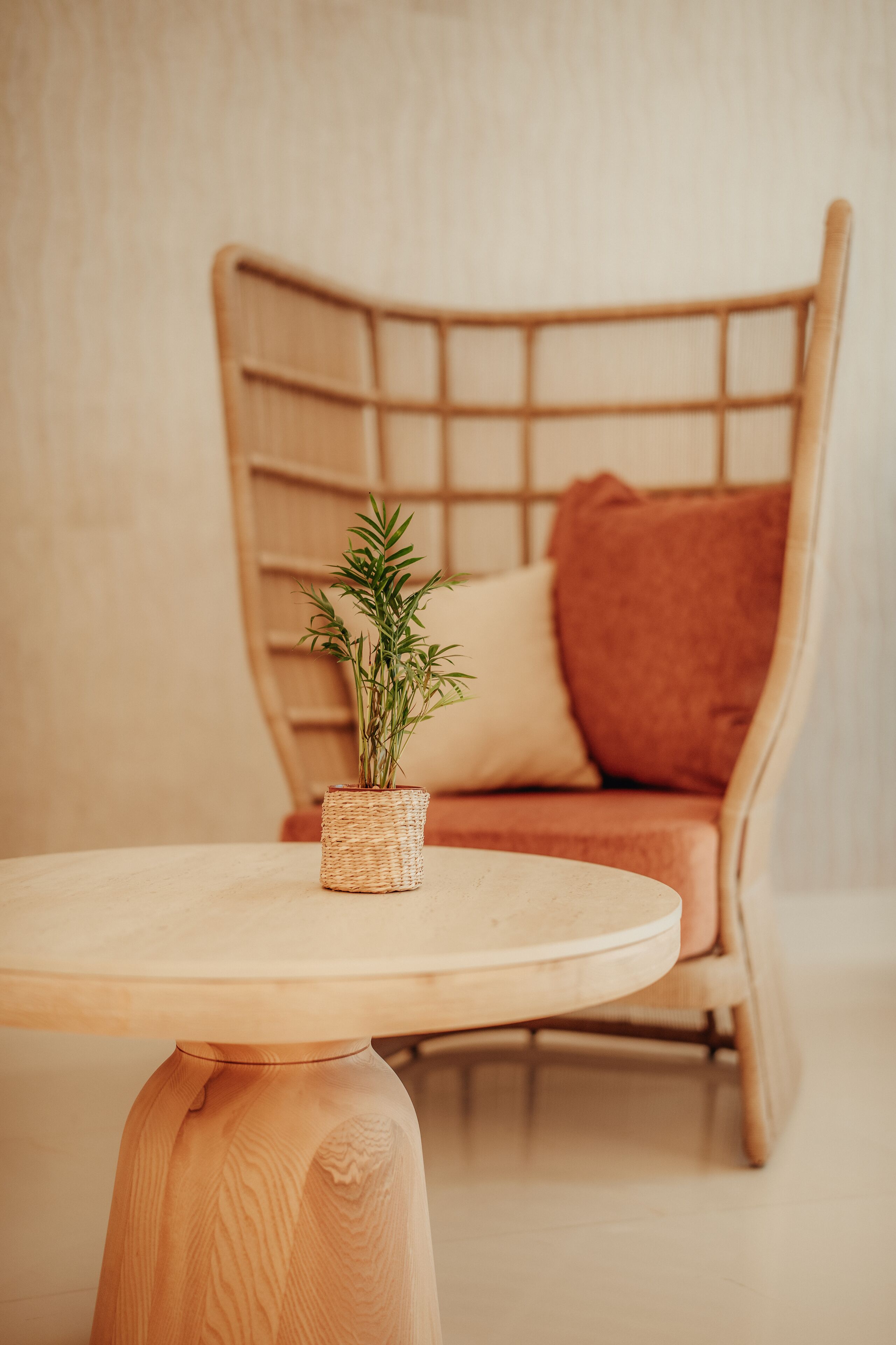 A round wooden table with a woven basket containing a plant. In the background, there is a wicker chair with a cushion.