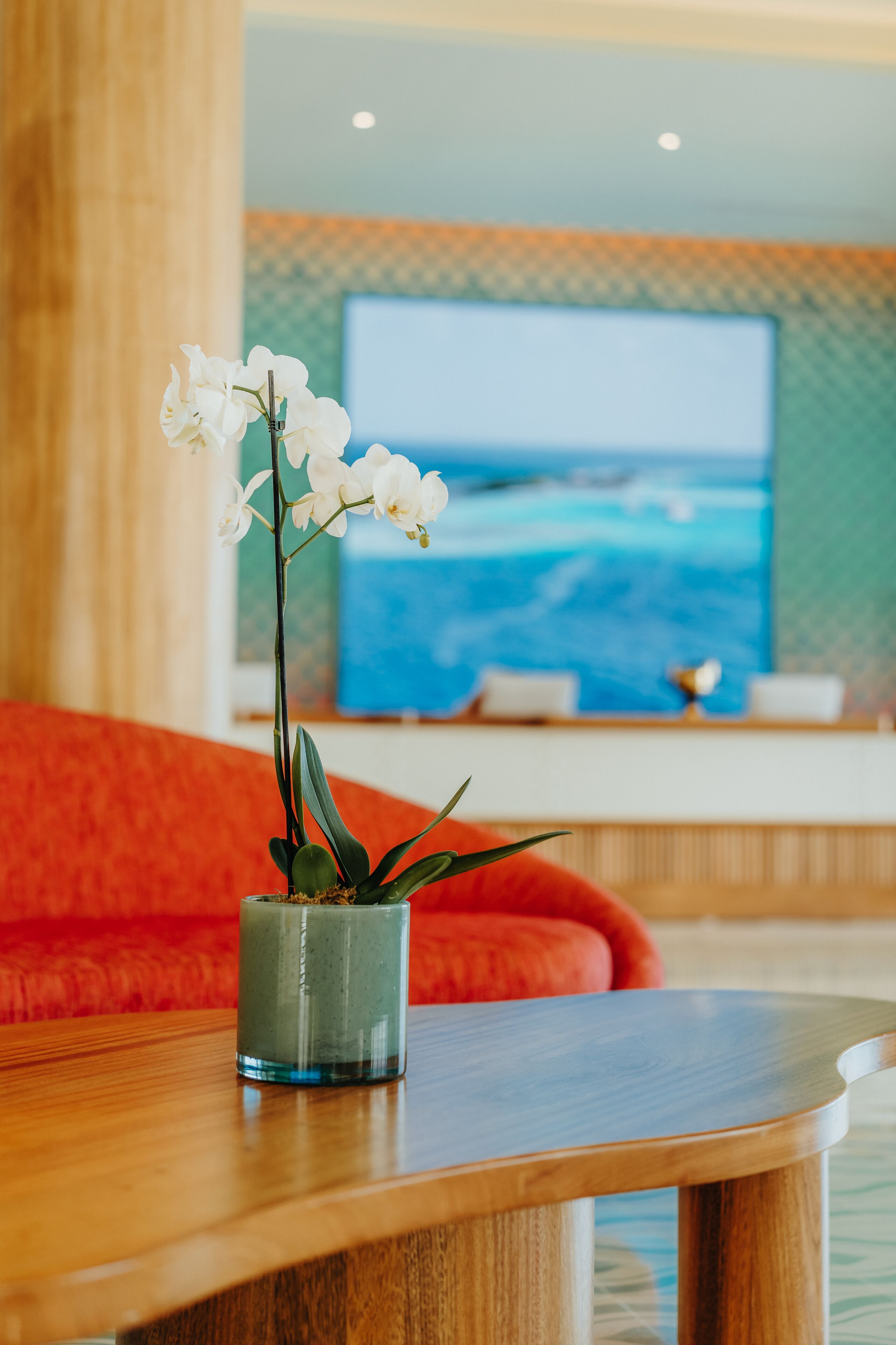 A wooden table with a potted orchid and a television in the background.
