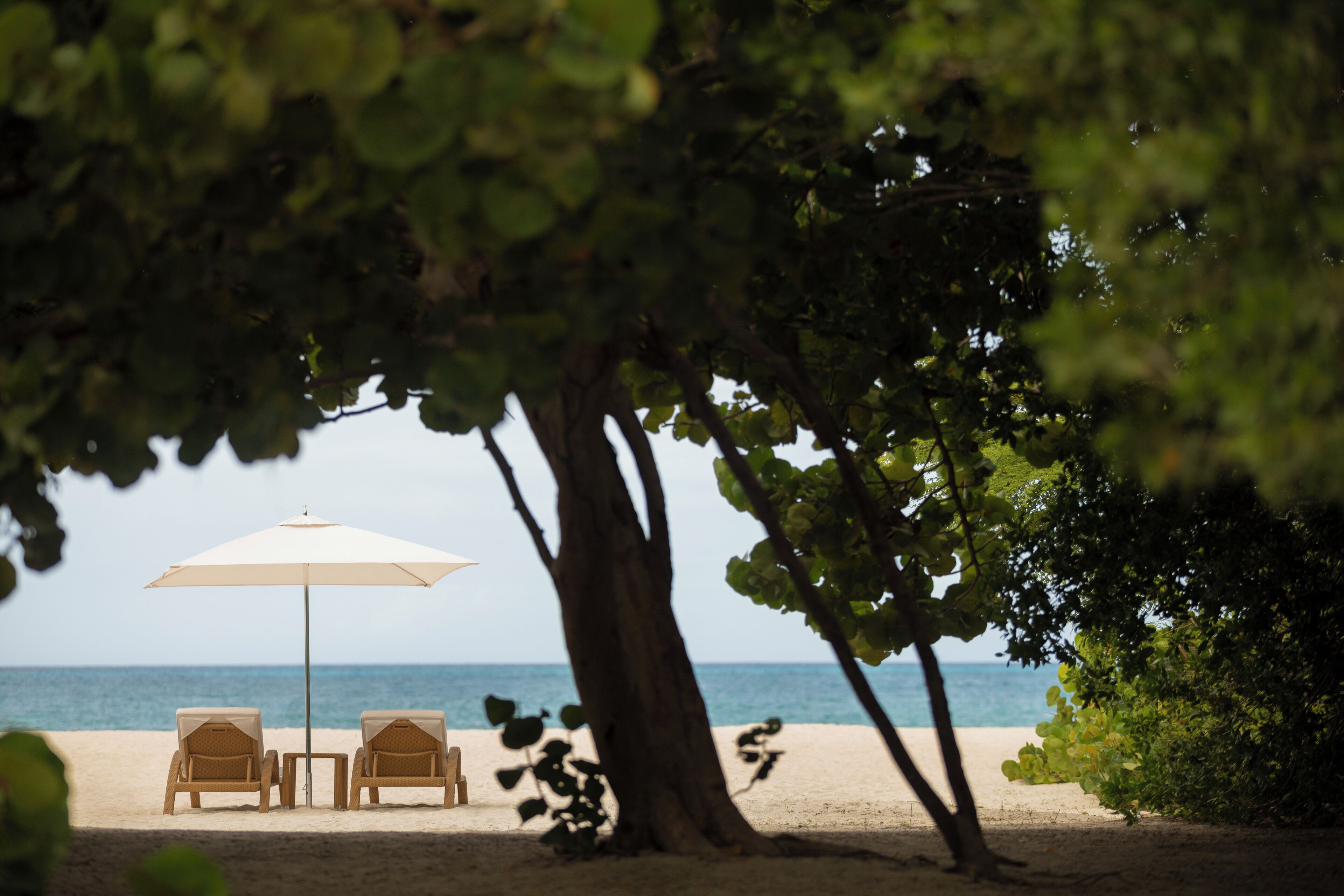 Photo - JOIA Aruba by Iberostar