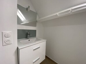 Bathroom features a sleek vanity with a single sink and mirror.