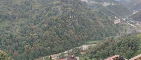 Vista frontal de la propiedad