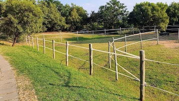 Área da propriedade