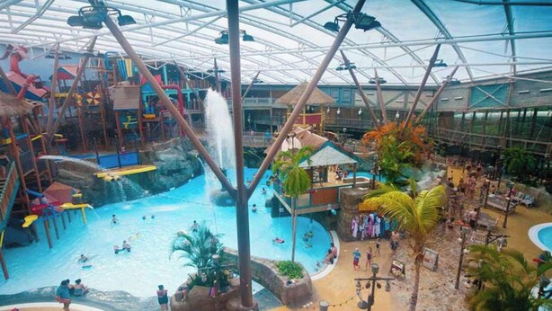 An indoor water park with multiple pools, slides, and a covered area with palm trees. - Barn-sleeps 4 Alton Towers Scarefest/peak District (Stoke-on-Trent)