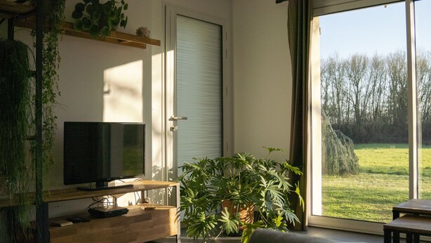 A living room with a television on a wooden stand, a large potted plant, and a view of a grassy area through a sliding glass door. - Maison La Fontaine - Paisible & Verdoyante (Trélazé)