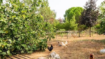 Terrein van de accommodatie