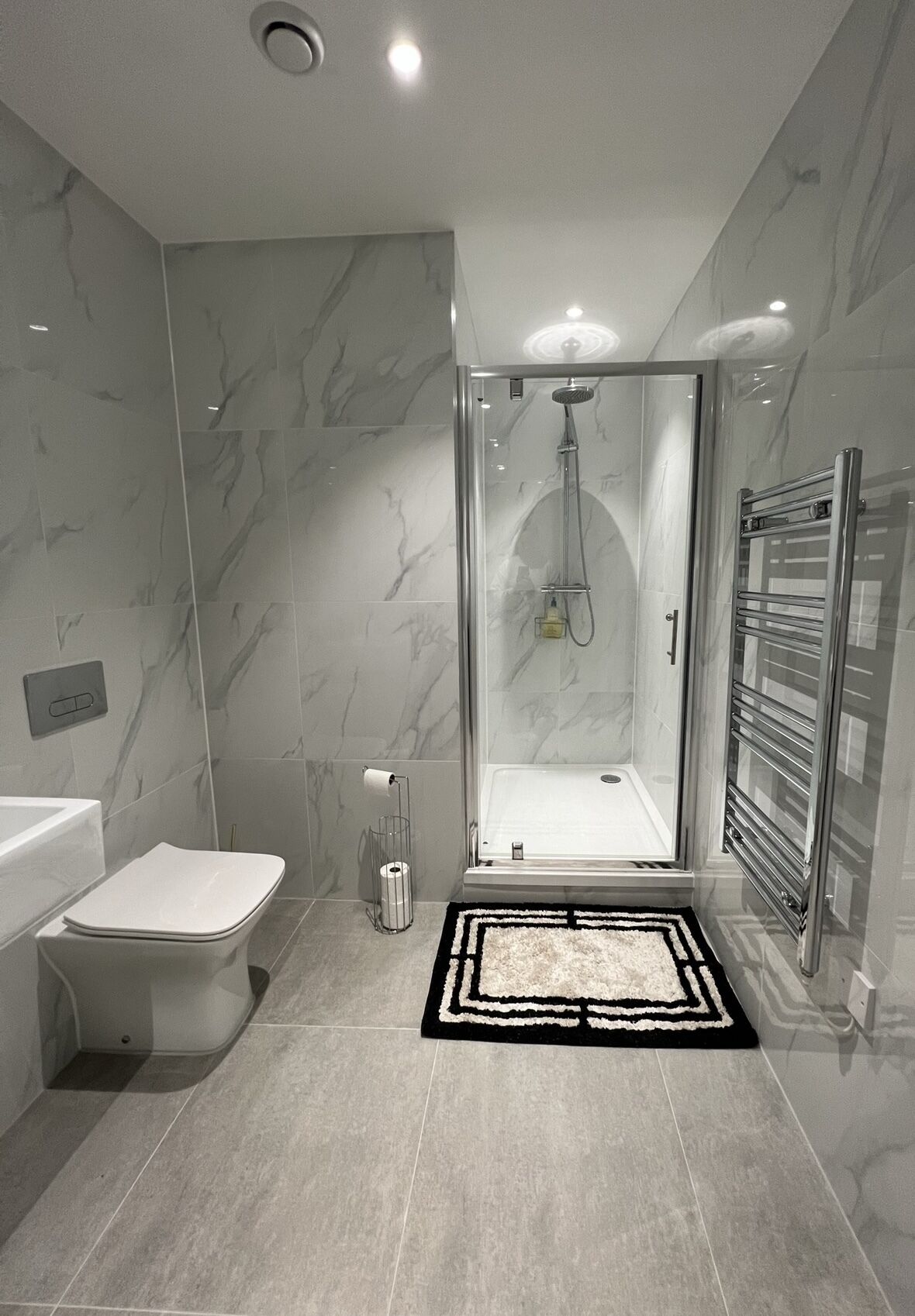 Shower, hair dryer, towels, toilet paper