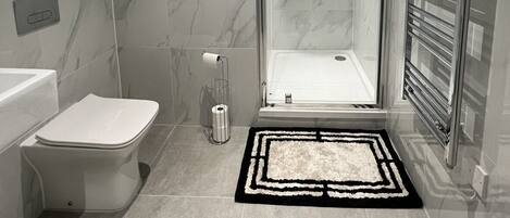 Shower, hair dryer, towels, toilet paper