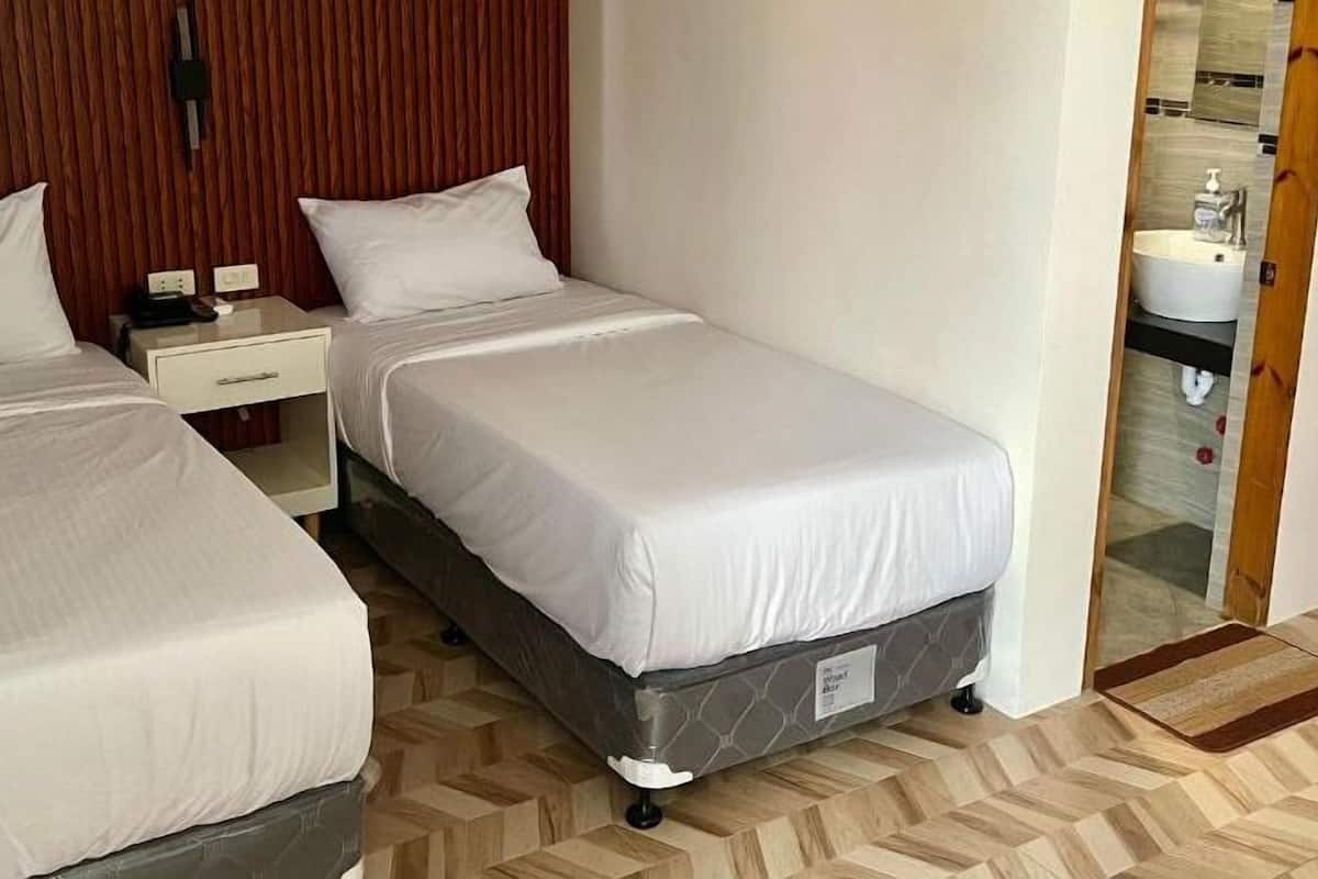 Deluxe Twin kamer | 1 slaapkamer, donzen dekbedden, een bureau, een laptopwerkplek