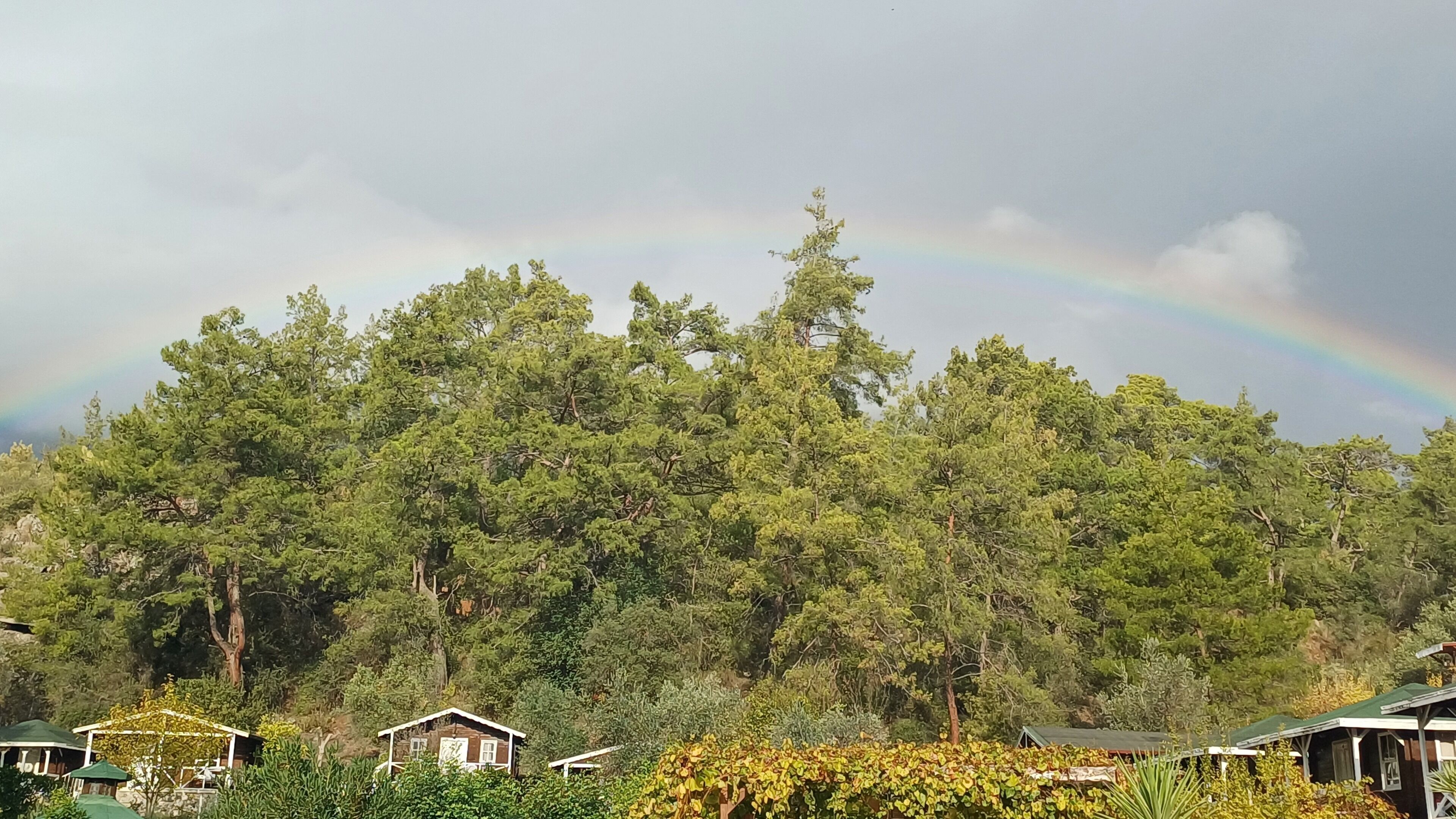 Una casa con jardín y bosque al fondo.