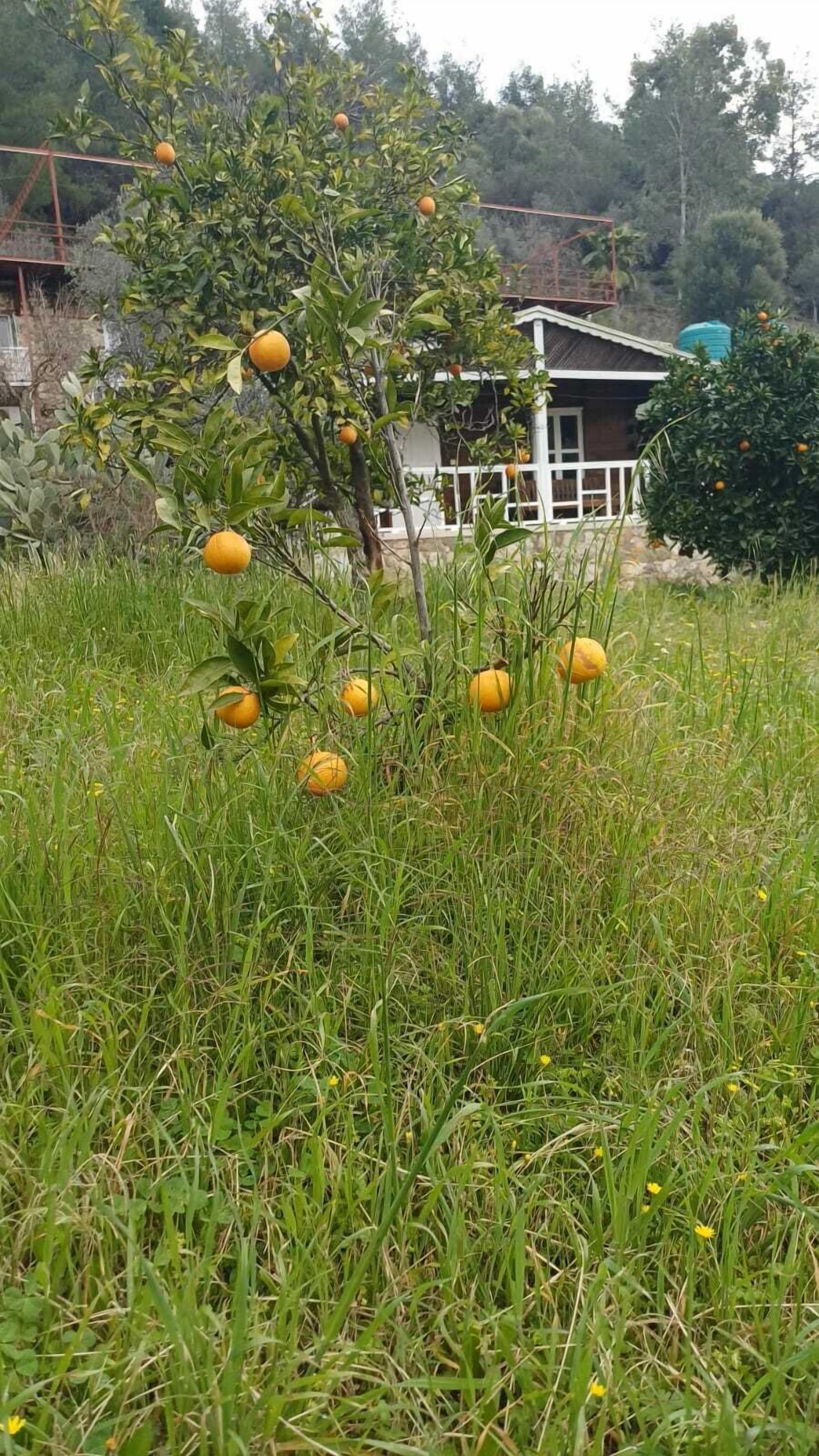 Bahagian luar