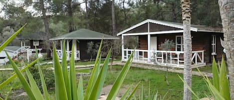A rustic cabin with a porch, surrounded by greenery and trees.