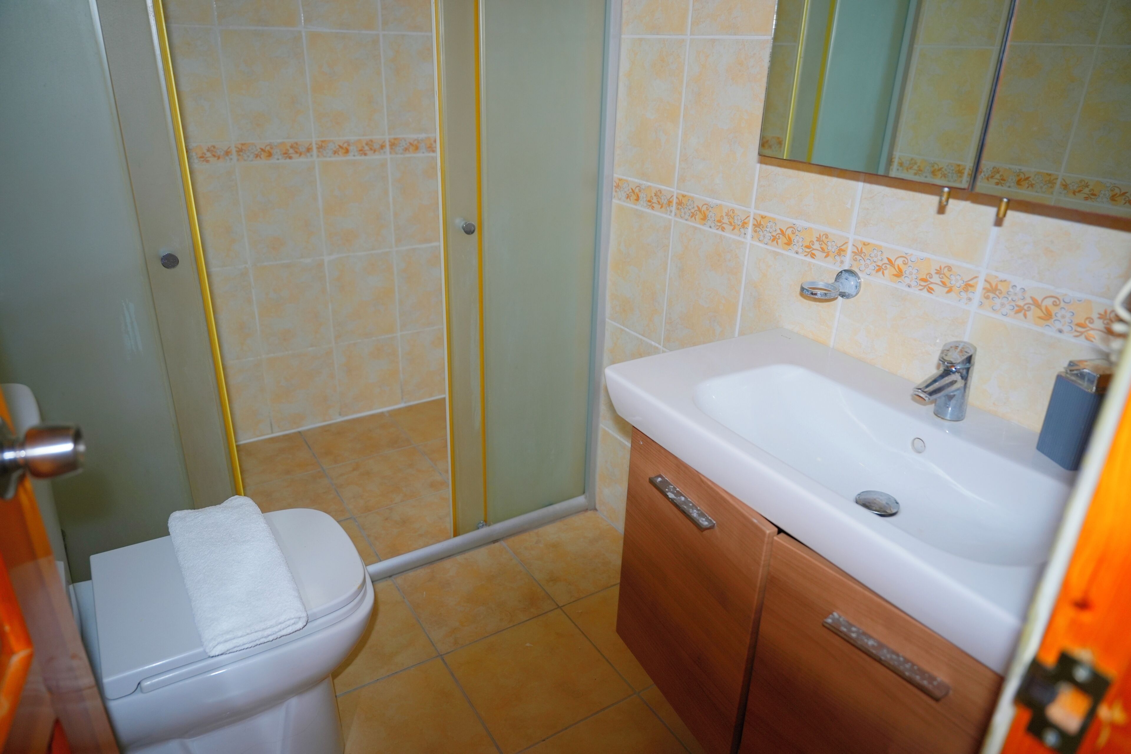 Une salle de bain équipée de toilettes, d’une douche, d’un lavabo et d’un miroir.
