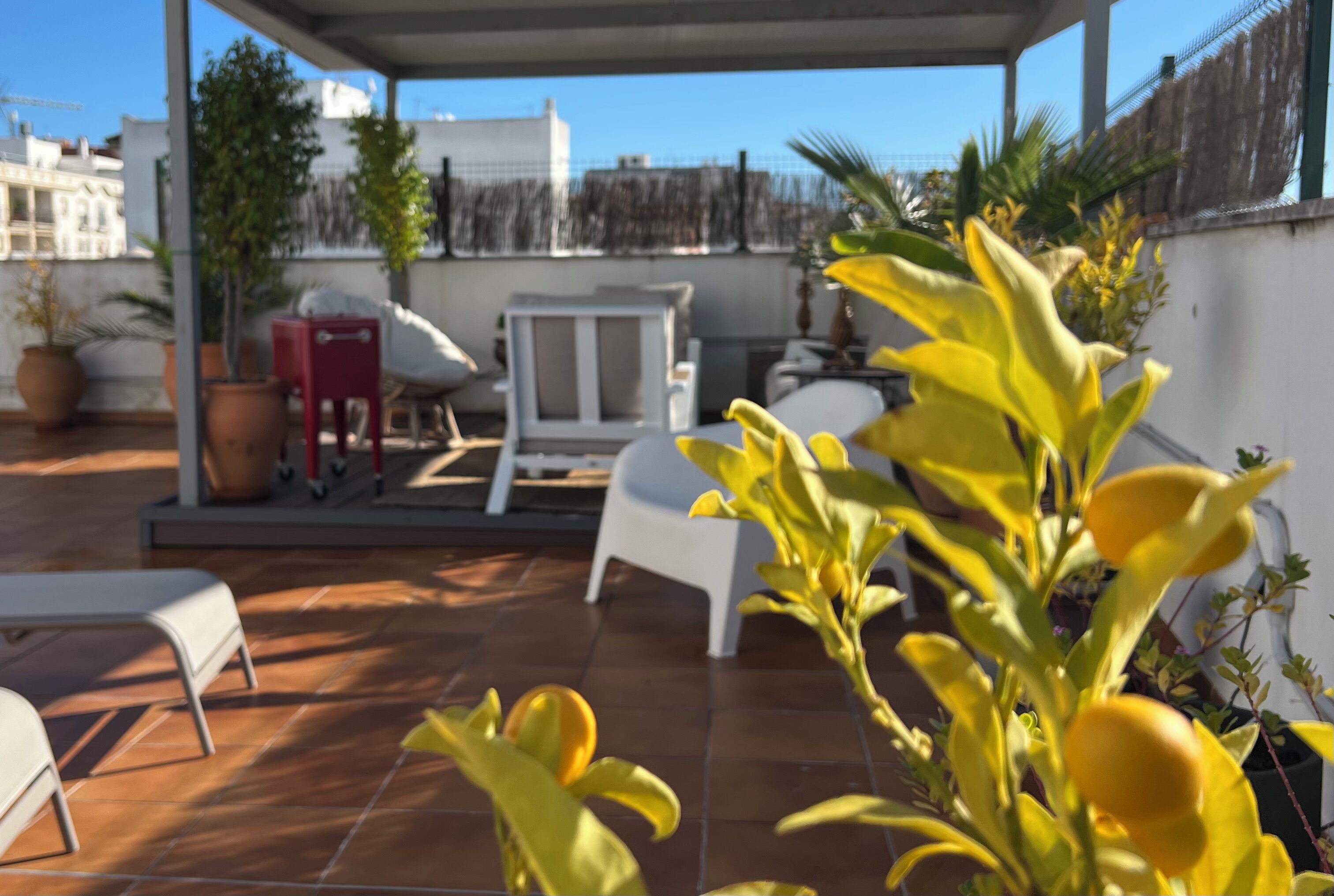 Terraza o patio