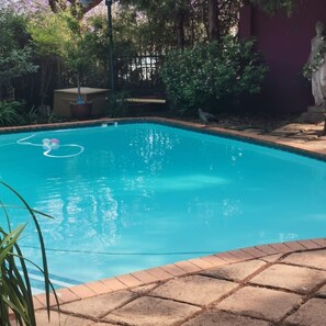 A swimming pool with a clear blue water, surrounded by a brick patio and greenery.