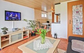 Fernseher, Stereoanlage