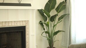 A living room with a fireplace, a large potted plant, and a grey sofa.
