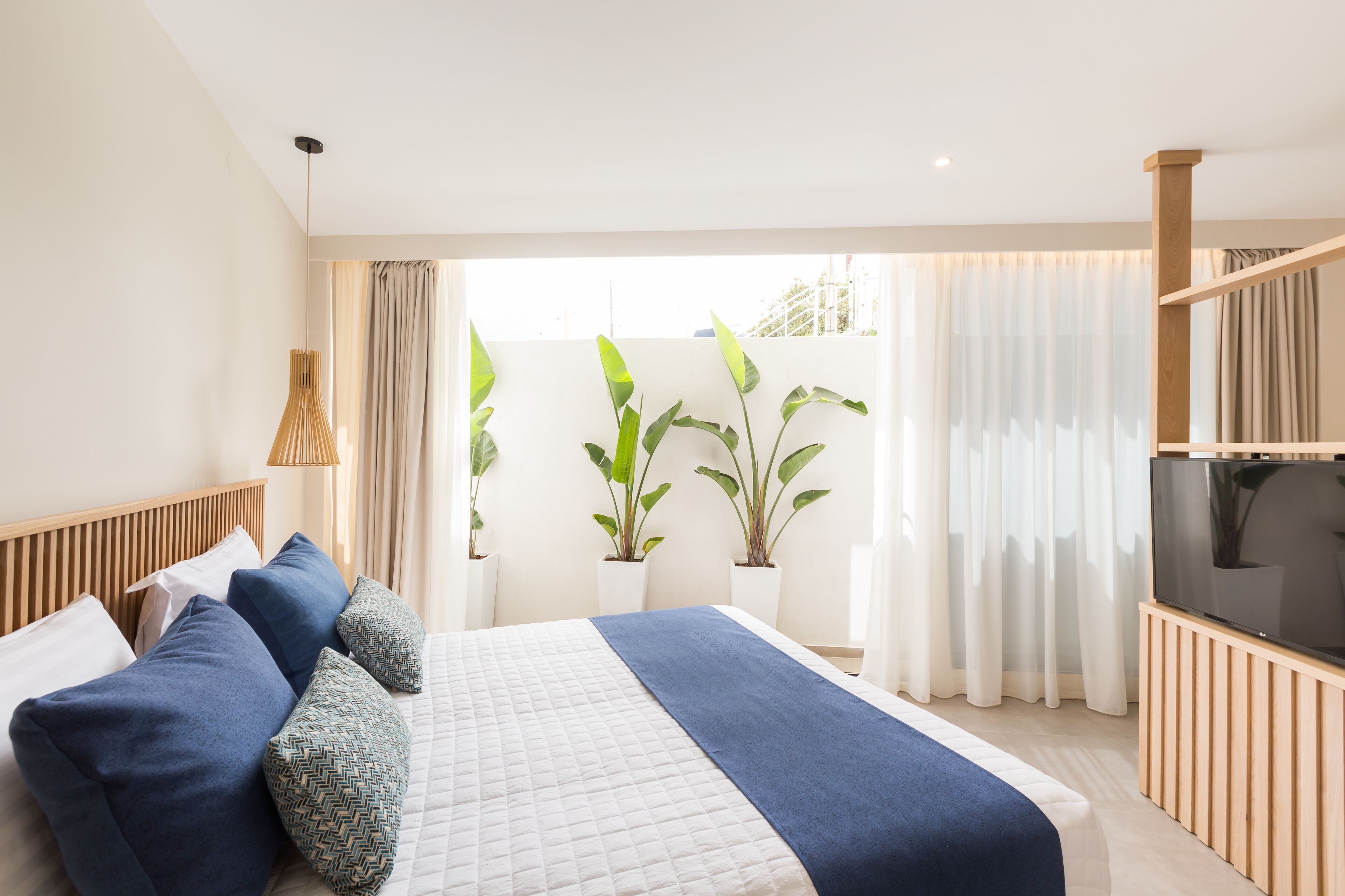 A modern hotel room with a large bed, a TV, and potted plants.