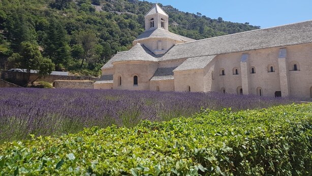 A historic building with a bell tower, surrounded by a lavender field and greenery. - La Calade, in the heart of Provence Country Club (Saumane-de-Vaucluse)