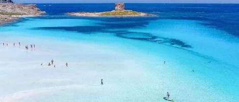 Beach nearby, white sand, beach shuttle, beach umbrellas