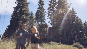 Studio | Property grounds