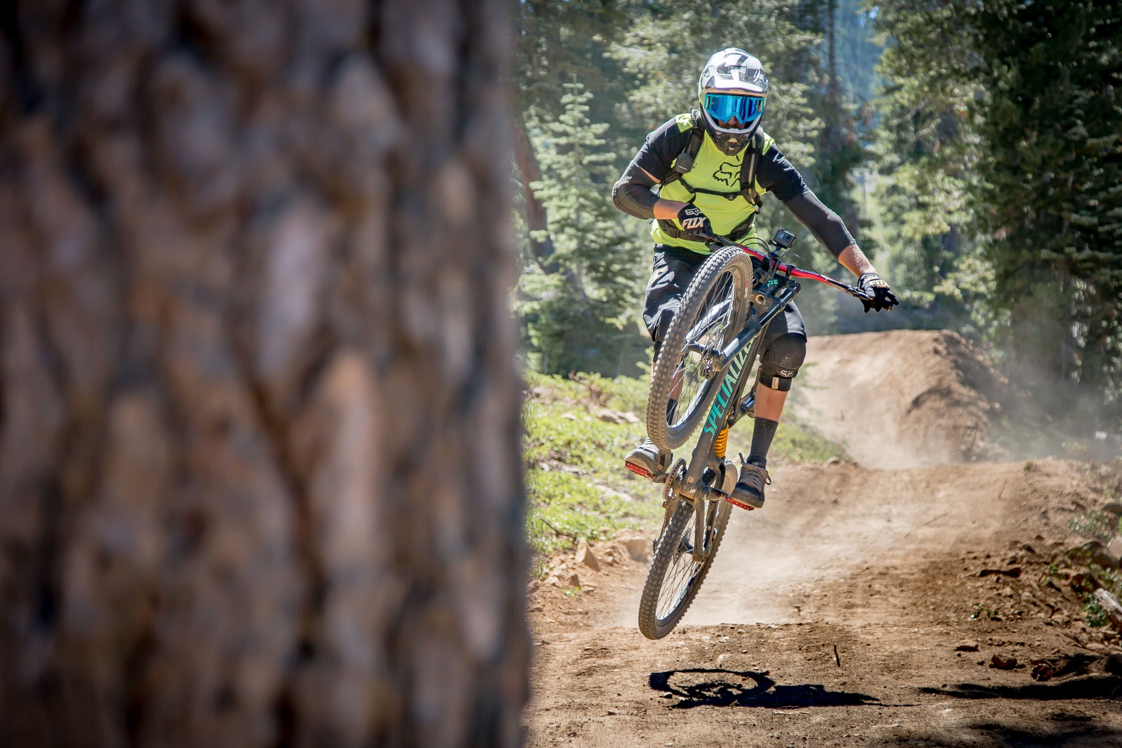 A mountain biker in motion on a dirt trail surrounded by trees.